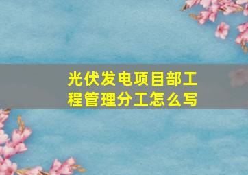 光伏发电项目部工程管理分工怎么写