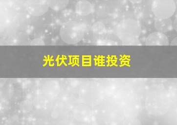 光伏项目谁投资