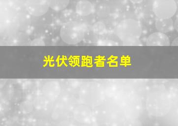 光伏领跑者名单