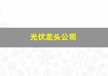 光伏龙头公司