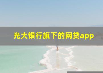 光大银行旗下的网贷app