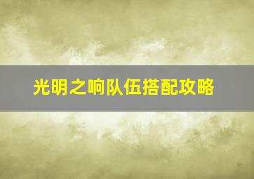 光明之响队伍搭配攻略