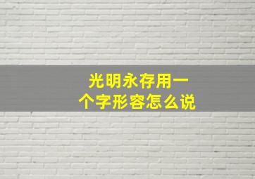 光明永存用一个字形容怎么说