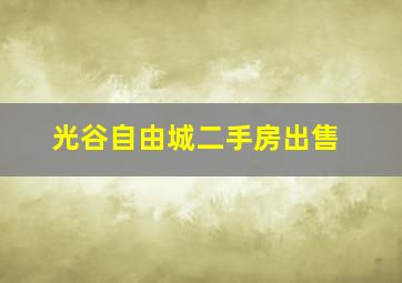 光谷自由城二手房出售