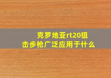 克罗地亚rt20狙击步枪广泛应用于什么