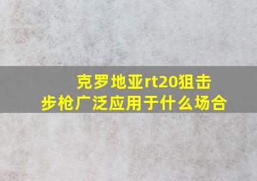 克罗地亚rt20狙击步枪广泛应用于什么场合