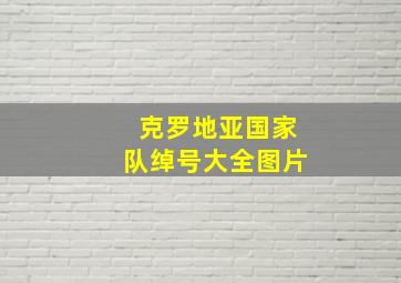 克罗地亚国家队绰号大全图片