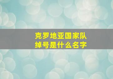 克罗地亚国家队绰号是什么名字