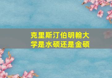 克里斯汀伯明翰大学是水硕还是金硕