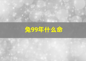 兔99年什么命