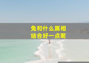 兔和什么属相结合好一点呢