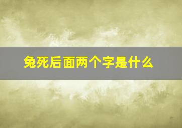 兔死后面两个字是什么