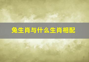 兔生肖与什么生肖相配