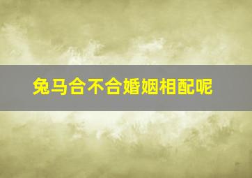 兔马合不合婚姻相配呢