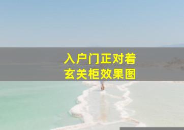 入户门正对着玄关柜效果图