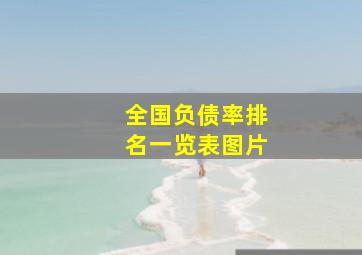 全国负债率排名一览表图片