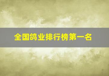 全国鸽业排行榜第一名