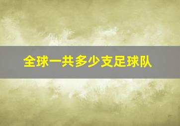 全球一共多少支足球队