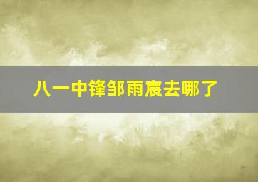 八一中锋邹雨宸去哪了