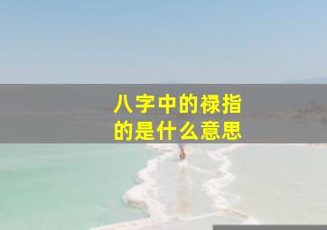 八字中的禄指的是什么意思