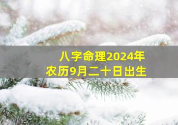 八字命理2024年农历9月二十日出生