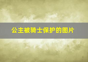 公主被骑士保护的图片