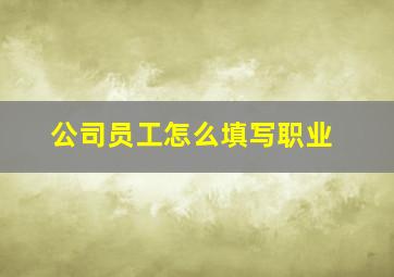 公司员工怎么填写职业