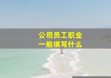 公司员工职业一般填写什么