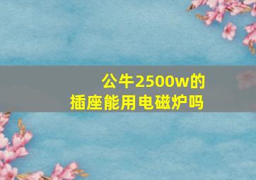 公牛2500w的插座能用电磁炉吗