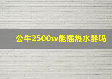 公牛2500w能插热水器吗