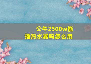 公牛2500w能插热水器吗怎么用