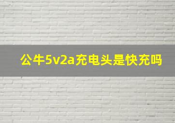 公牛5v2a充电头是快充吗