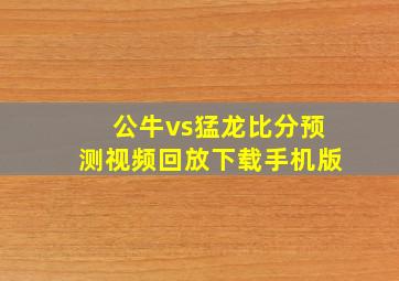 公牛vs猛龙比分预测视频回放下载手机版