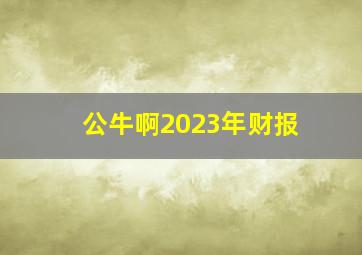 公牛啊2023年财报