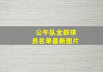 公牛队全部球员名单最新图片