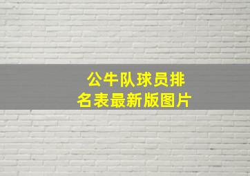 公牛队球员排名表最新版图片