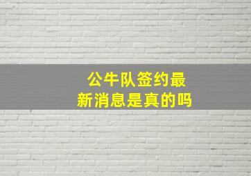 公牛队签约最新消息是真的吗