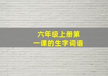 六年级上册第一课的生字词语