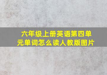 六年级上册英语第四单元单词怎么读人教版图片