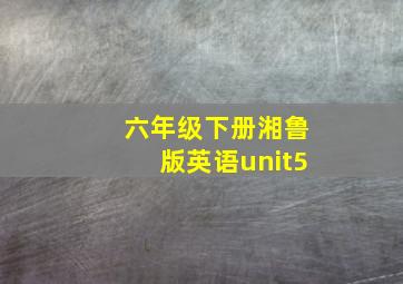 六年级下册湘鲁版英语unit5