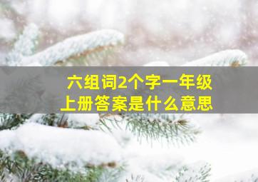 六组词2个字一年级上册答案是什么意思