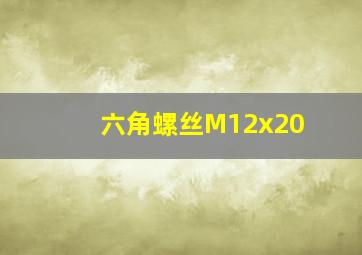 六角螺丝M12x20