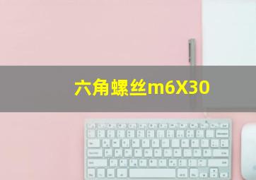 六角螺丝m6X30