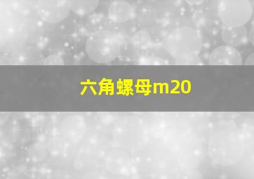 六角螺母m20