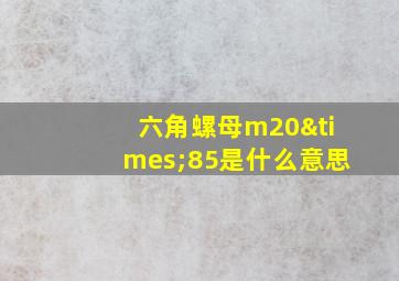 六角螺母m20×85是什么意思