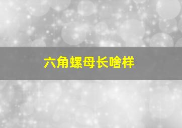 六角螺母长啥样