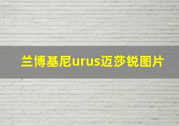 兰博基尼urus迈莎锐图片