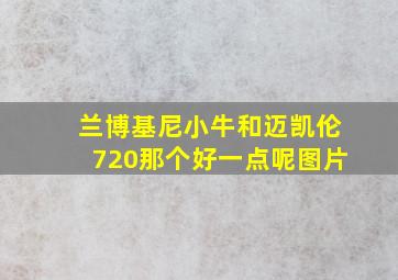 兰博基尼小牛和迈凯伦720那个好一点呢图片