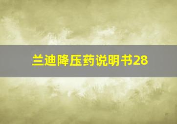 兰迪降压药说明书28