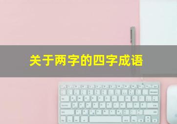 关于两字的四字成语